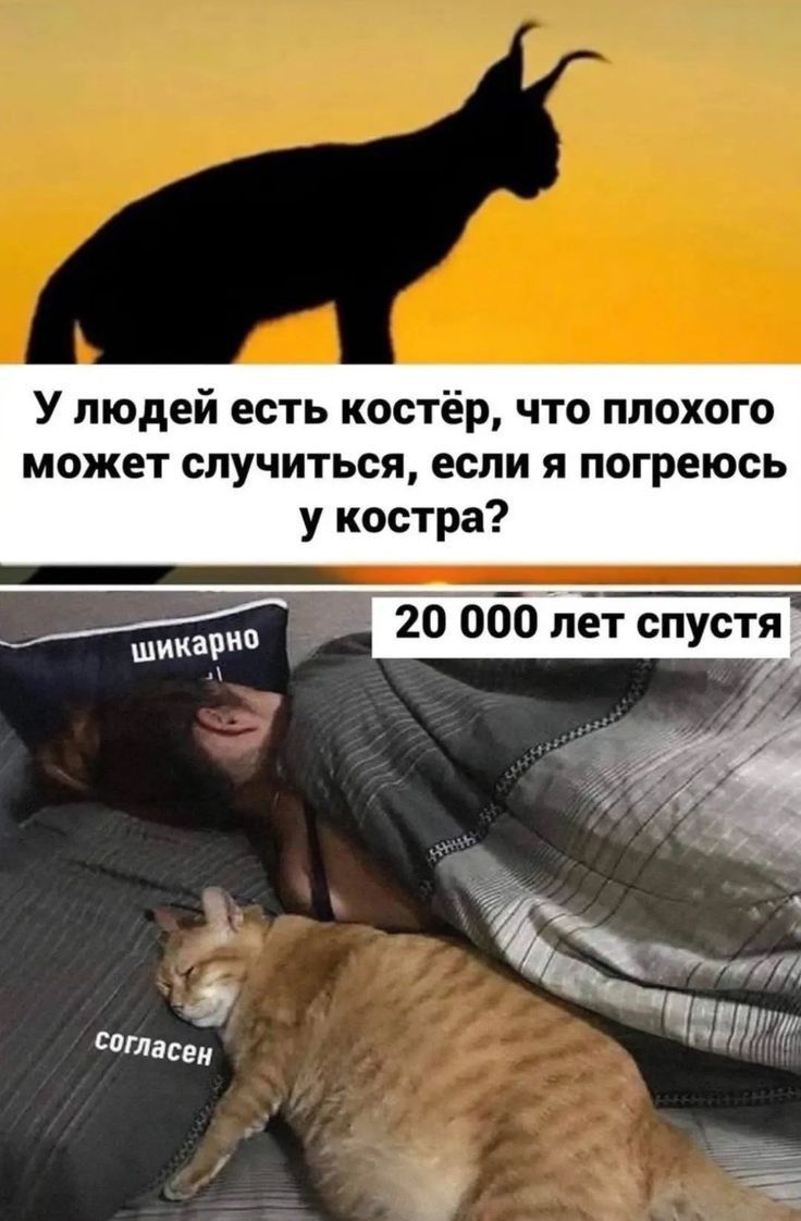 У людей есть костёр что плохого может случиться если я погреюсь у костра 20 000 лет спустя Ш 7 и тэн СПасе