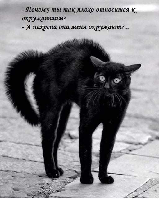 _ п шк аткашшсл ттщющш и ищем меш очжюМР