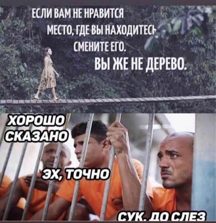 д шившнъншится мшогшыидходипсь_7 смъиитню ВЫ ЖЕ НЕ ДЕРЕВО