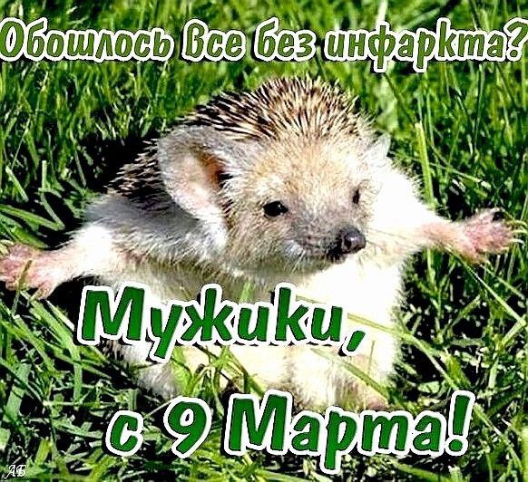 Шюв