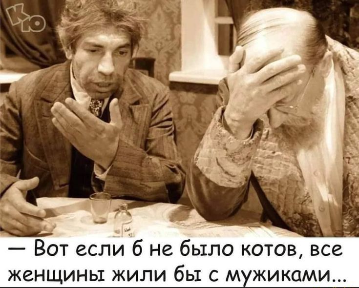 Вот если б не было котов все женщины жили бы с м жиками