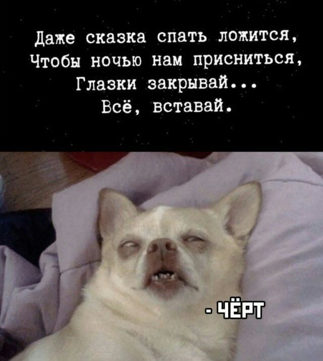 даже сказка спать ложится Чтобы ночью наи присниться Глазки закрывай Всё вставай