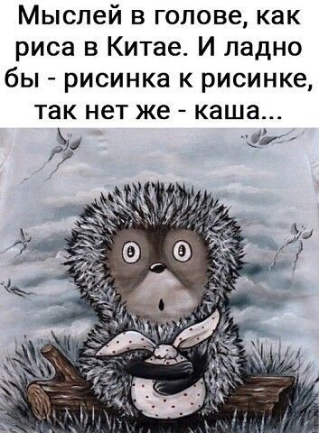 Мыслей в голове как риса в Китае И ладно бы рисинка к рисинке так НЕТ же каша