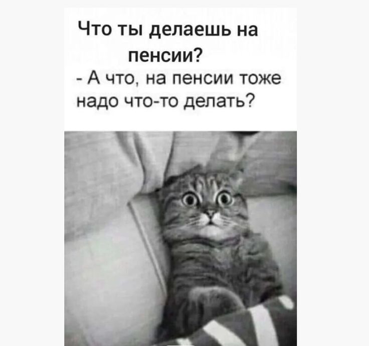 Что ты делаешь на пенсии А что на пенсии тоже надо что то делать Е