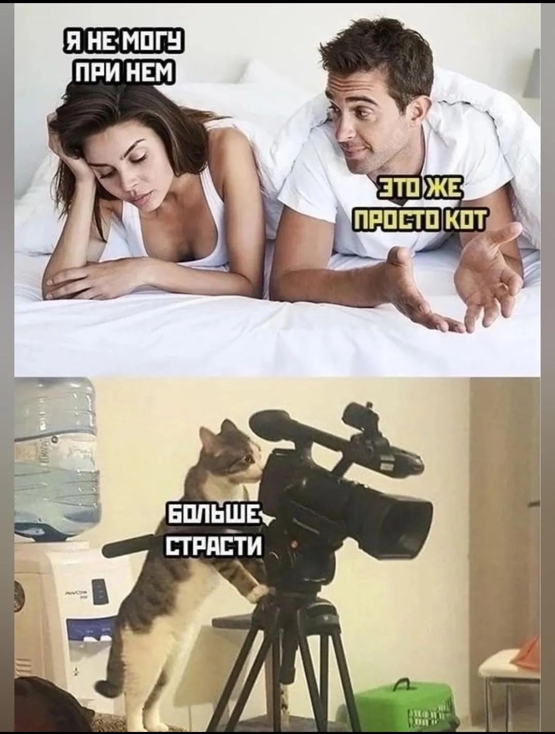 я немпгн