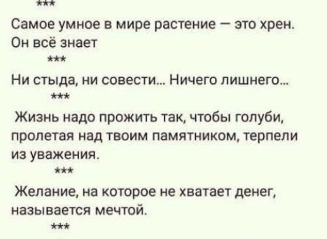Самое умное в мире растение это хрен Он всё знает Ни стыда ни совести Ничего лишнего Жизнь надо прожить так чтобы голуби пролетая над твоим памятником терпели ИЗ уважения Желание на которое не хватает денег называется мечтой