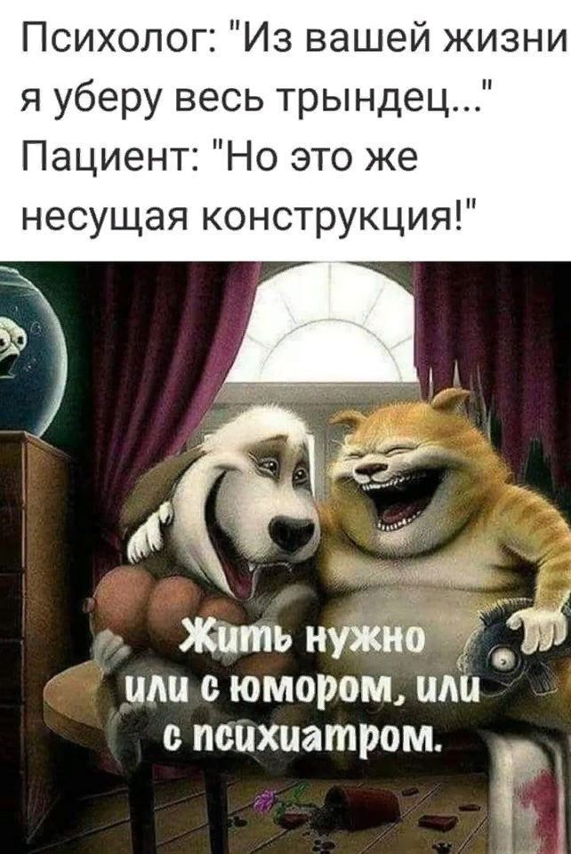 Психолог Из вашей жизни я уберу весь трындец Пациент Но это же несущая конструкция Жить нужно А ШШ сюмором ШШ спецхиатром г и