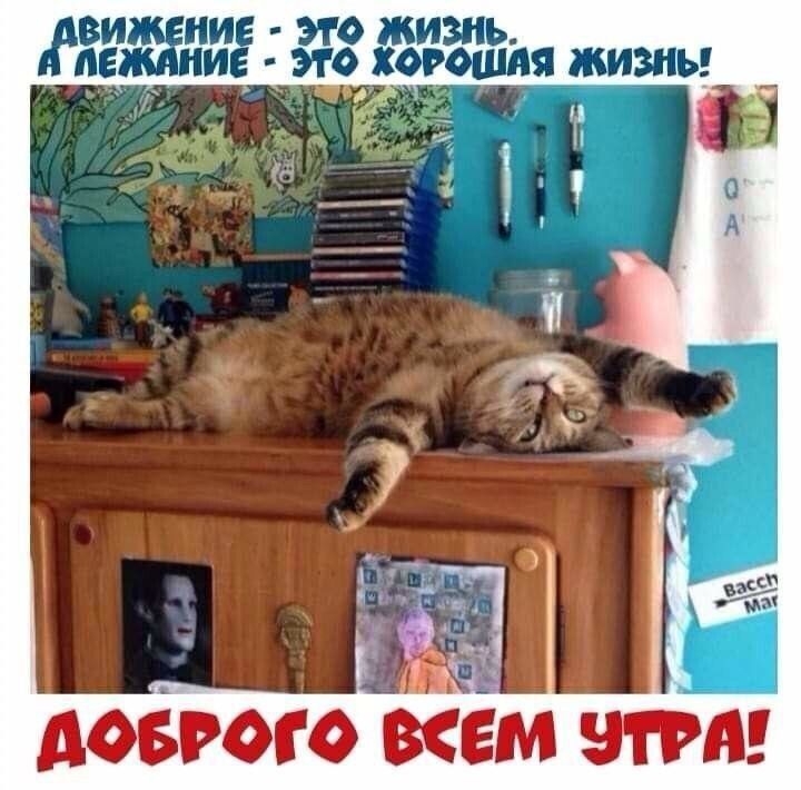 ЖИ и ад ХОРЪЧПАЯ ЖИЗНЬ АОБРОГО ЕМ ИРП