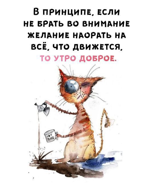 В ПРинципн ЕСЛИ НЕ БРАТЬ во внимднив жвлднив ндордть нд всЁ что движися то утро довРов