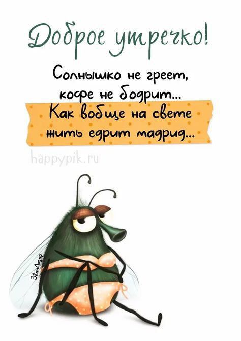Фобгэое дмгвтко СОАиышко не греет не 80 шт і