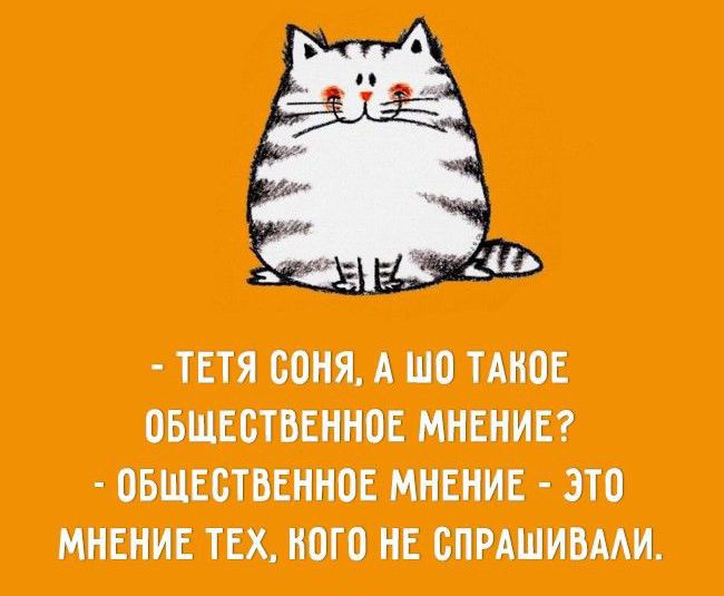 ТЕТЯ соня А ПШ ТМЮЕ ОБЩЕСТВЕННОЕ МНЕНИЕ ОБЩЕПБЕННОЕ МНЕНИЕ ЭТО МНЕНИЕ ТЕХ И0Г0 НЕ СПРАШИБМИ