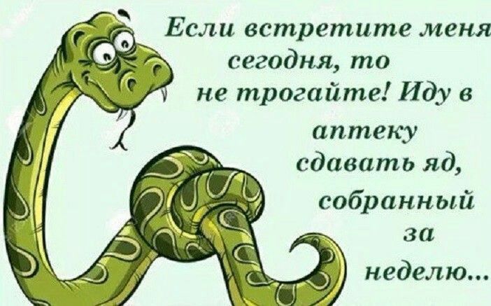 сегодня то не трогайте Иду аптеку сдавать яд собранный за неделю