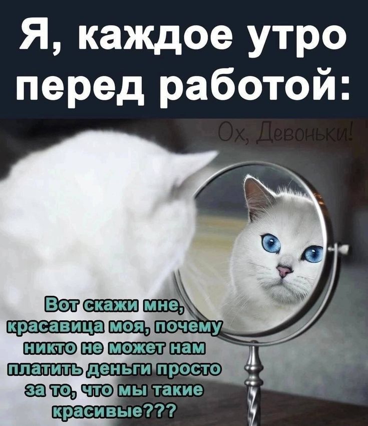 Я каждое утро перед работой