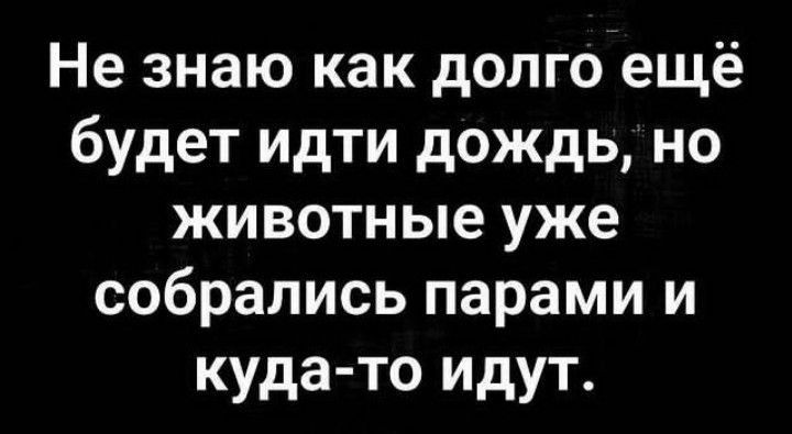 Не знаю как долго ещё будет идти дождь но животные уже собрались парами и куда то идут