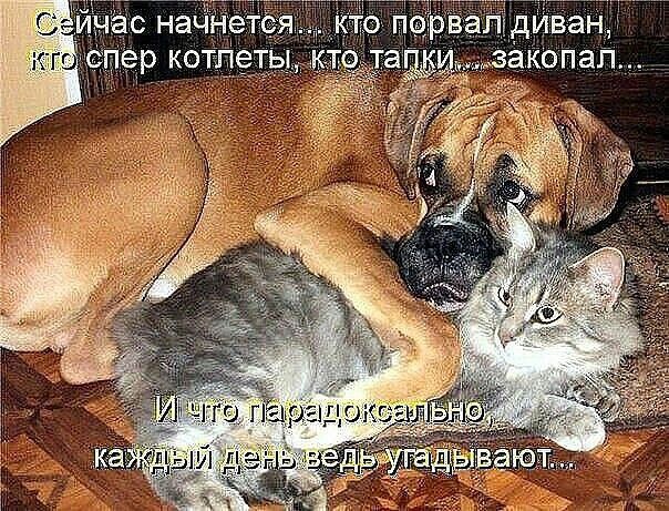кю пізрвзпдиван щнёс НёЧнёгё спер котгіетьъ
