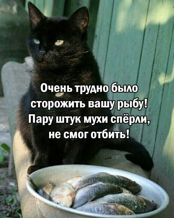Очень трудна о сторожить вашу бу Пару штук мухи спёрди не смог отбиіь
