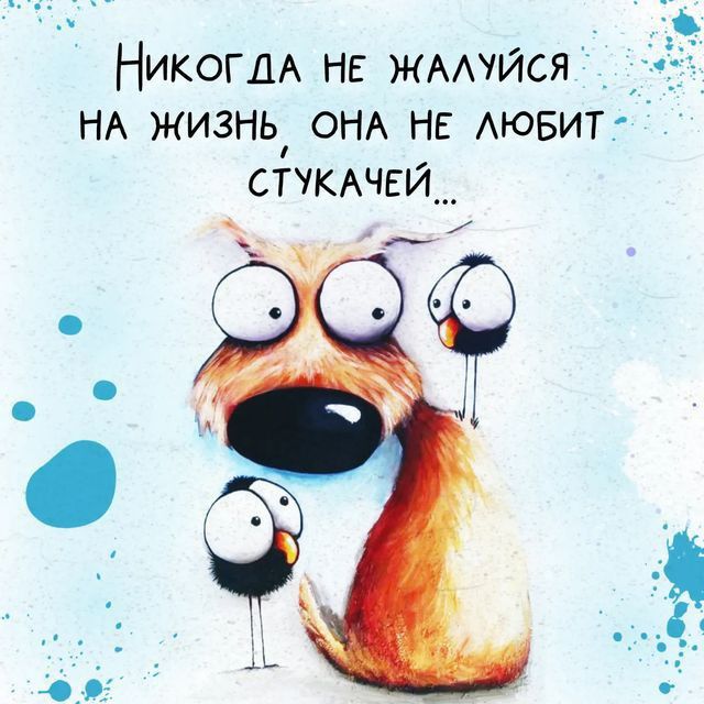 НИКОГДА не ЖААУЙСЯ НА жизнь ОНА нв Аювит стукни1