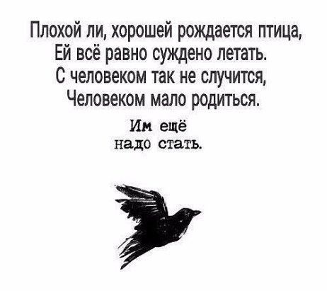 Плохой ли хорошей рождается птица Ей всё равно суждено летать С человеком так не случится Человеком мало родиться Ин ещё надо стать