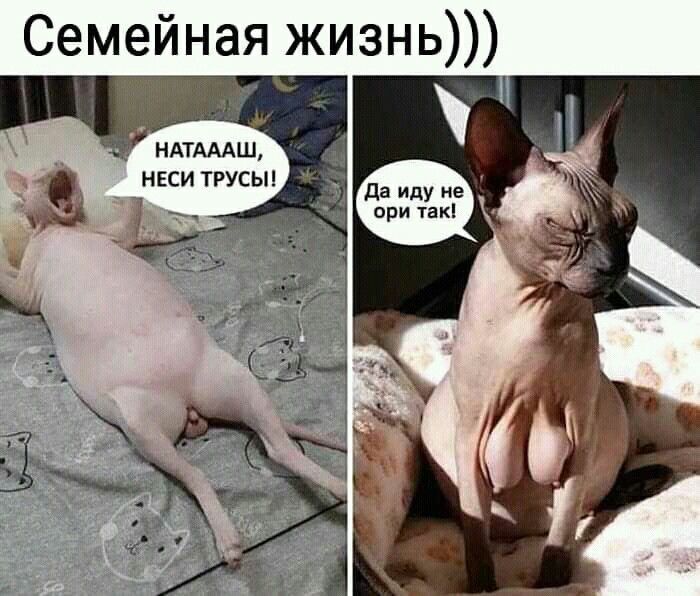 Семейная жизнь