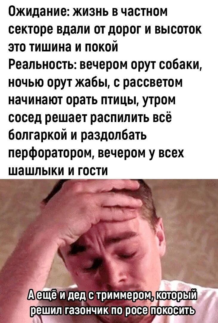 Ожидание жизнь в частном секторе вдали от дорог и высоток это тишина и покой Реальность вечером орут собаки ночью орут жабы с рассветом начинают орать птицы утром сосед решает распилить всё болгаркой и раздолбать перфоратором вечером у всех шашлыки и гости ещё и дер с триммёром который решил ГЗЗОНЧИК ПО росе ПОКОСИТЬ