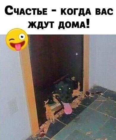 Счдстьв когдд ВАс ждут дОМА