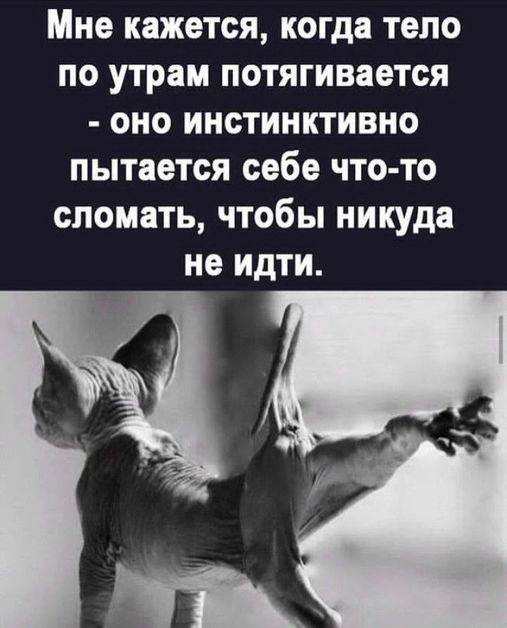 Мне кажется когда тело по утрам потягивается оно инстинктивно пытается себе что то сломать чтобы никуда не идти