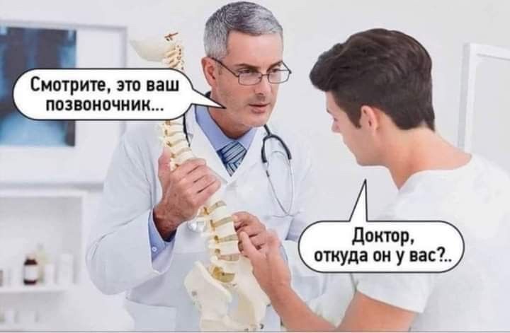 дожив откуда он у вас