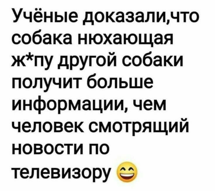 Учёные доказаличто собака нюхающая жпу другой собаки получит больше информации чем человек смотрящий новости по телевизору