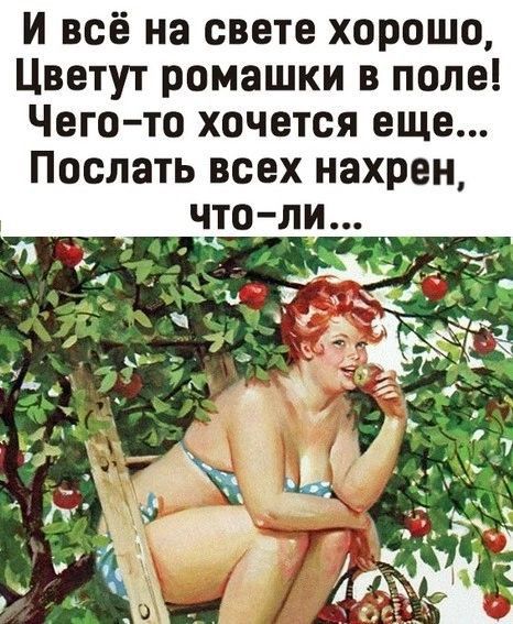и всё на свете хорошо Цветут ромашки в поле Чегото хочется еще Послать всех нахрен
