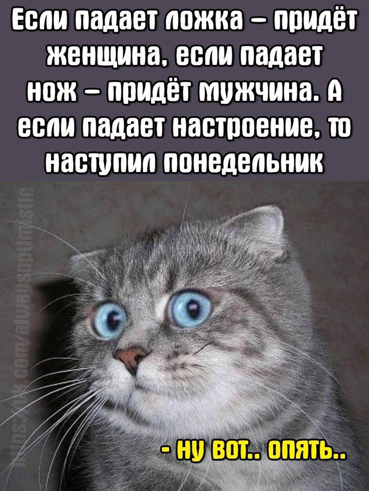 Если падает ложка ппидёт женщина если падает нож ппидёт мужчина А если падает настроение то наступил понедельник