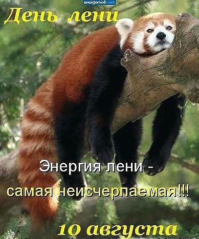 1 ЫЗЭШС