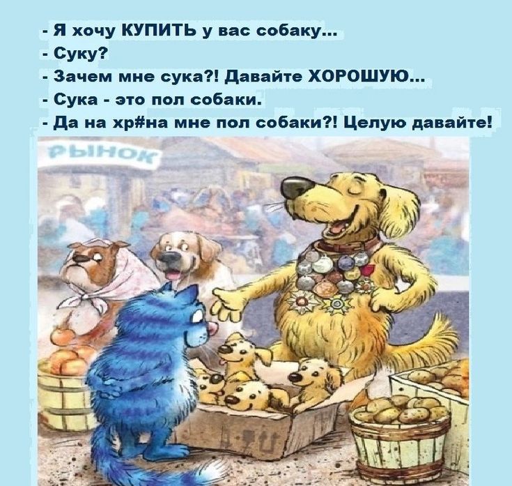 я хочу купить у не соб ку суки зч м ми уип д пйи хорошую сук это под собаки д и храм ми поп спб кип Црпую пм