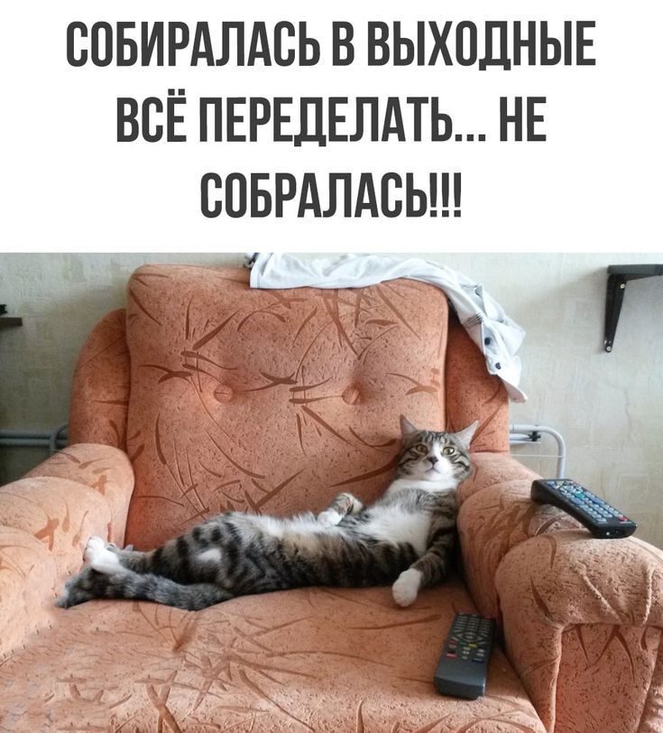 СОБИРАЛАБЬ В ВЫХОДНЫЕ ВСЁ ПЕРЕЛЕЛАТЬ НЕ СПБРАЛАБЬ