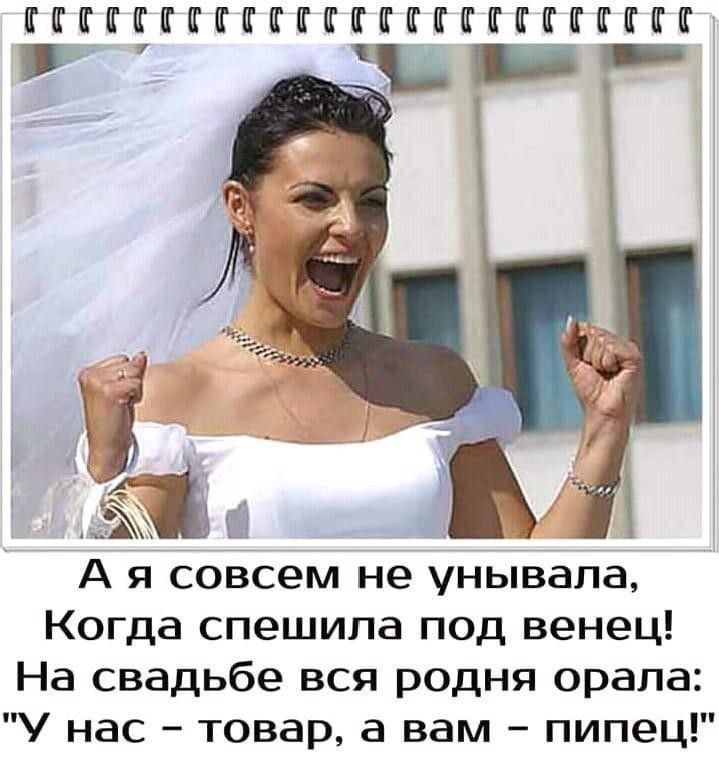 ККККПППППКККЕППППП чип А я совсем не унывапа Когда спешила под венец На свадьбе вся родня орала У нас товар а вам пипец