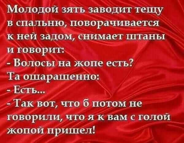 Молодой зять заводит тещу в спальню поворачивается к ней задом снимает штаны и говорит Волосы на жопе есть Та ошарашенно Есть Так вот что 6 потом не говорили что я к вам с голой жопой пришел