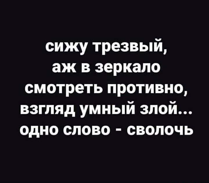 сижу трезвый аж в зеркало смотреть противно взгляд умный злой одно слово сволочь