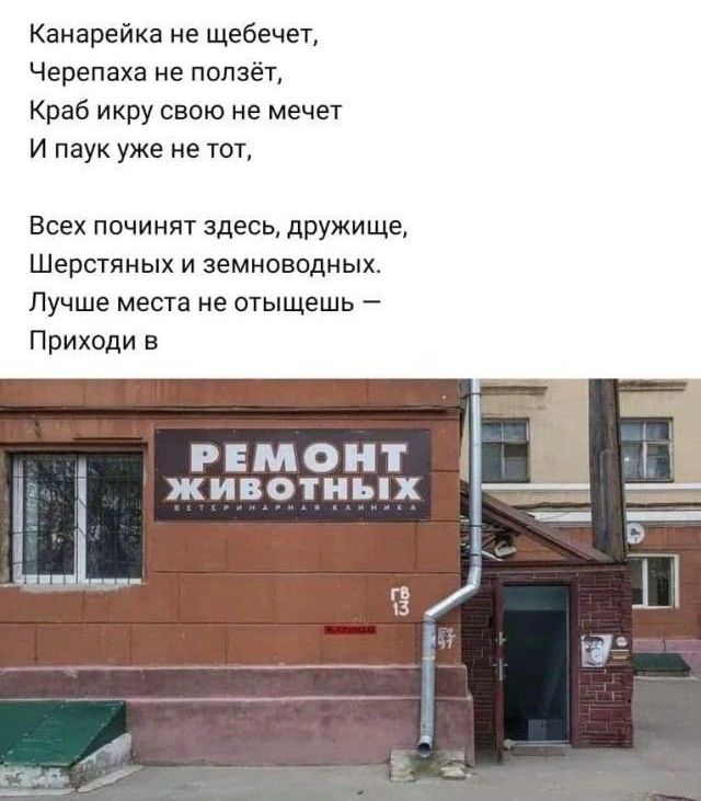 Канарейка не щебвчет Черепаха не ползет Краб икру свою не мечет И паук уже не тот Всех починят здесь дружище Шерстяных и земноводных Лучше места не отыщешь Приходи в Зри