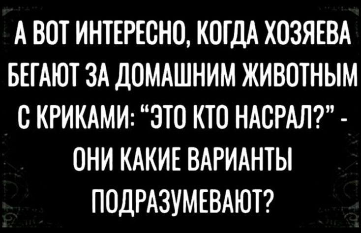 А ВОТ ИНТЕРЕСНО КОГДА ХОЗЯЕВА БЕГАЮТ ЗА ДОМАШНИМ ЖИВОТНЫМ С КРИКАМИ ЭТО КТО НАВРАЛ ОНИ КАКИЕ ВАРИАНТЫ ПОДРАЗУМЕВАЮТ