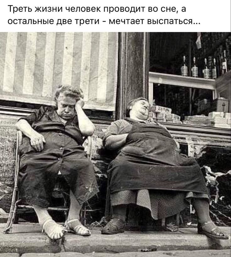 Треть жизни человек проводит во сне а остальные две трети мечтает выспатьс