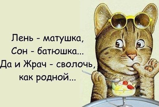 Пень матушка Сон батюшка Да и Жрач сволочь как родной _