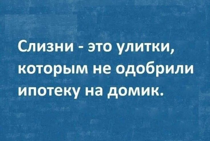 Слизни это улитки которым не одобрили ипотеку на домик