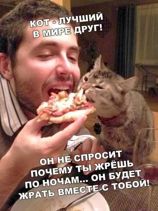 г _ З ОННЕ СПРОСИТ ПОЧЕМУ ТЫЖРЕШНЕ я м оН БУДЕТ й