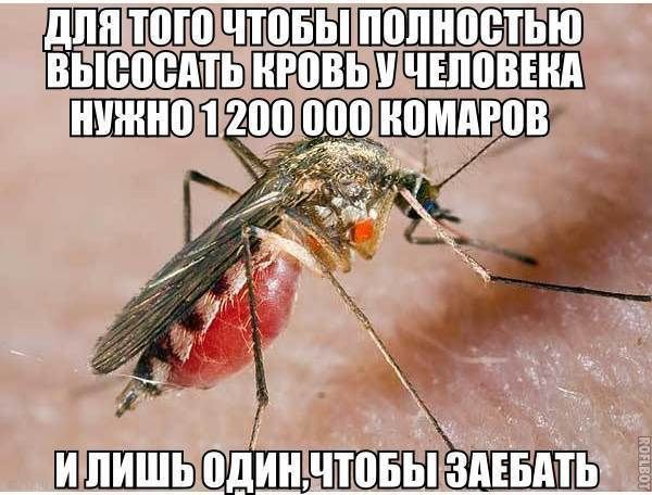 ЕПШЮШПВШШМ выноса шъьшц