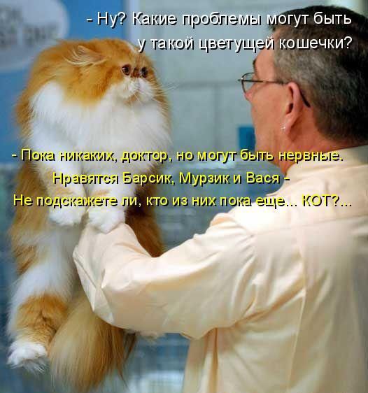 проблемы огут быть
