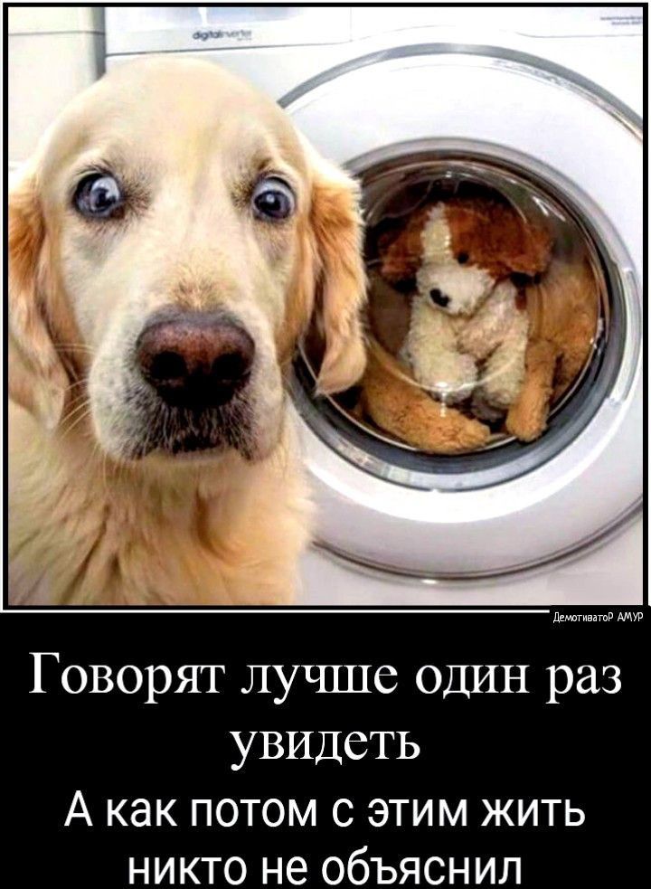 Говорят лучше один раз увидеть А как ПОТОМ С ЭТИМ ЖИТЬ НИКТО не ОбЪЯСНИЛ