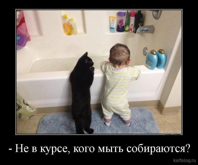 Не в курсе кого мыть собираются