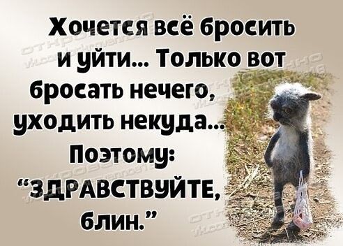 Хочется всё бросить и уйти Только вот бросать нечего уходить некуда Поэтому ЗдРАВСТВНЙТЕ блин