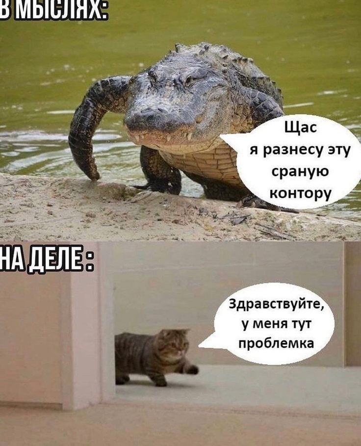 БМЬШЛНХ я разнесу эту сраную контору НА ДЕЛЕ здравсиуйп у меня тут проблемка