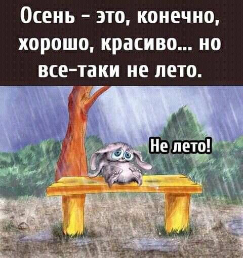 ОСЕНЬ ЭТО КОНЕЧНО ХОРОШО красиво НО ВСЕ ТЗК не ЛЕТО
