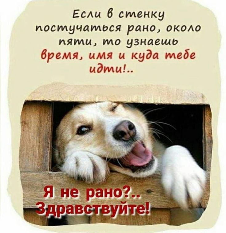 Если 6 стенку постучаться рано около пяти или узнаешь время имя и куда тебе цдмы